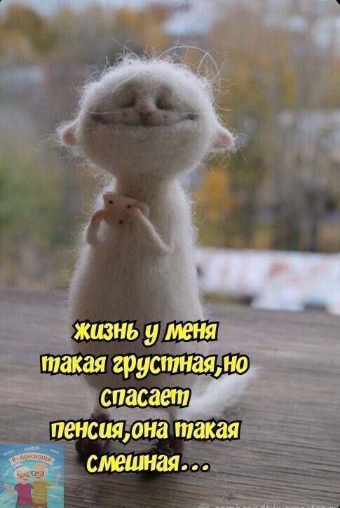 жизнь у меня такая грустная, но спасает пенсия, она такая смешная...