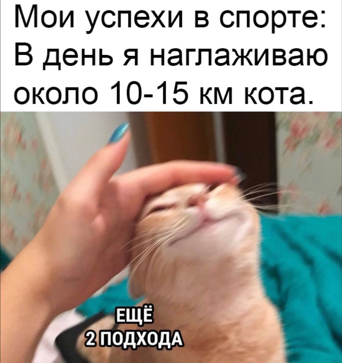 Мои успехи в спорте: В день я налаживаю около 10-15 км кота. ЕЩЁ 2 ПОДХОДА