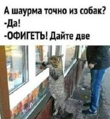А шаурма точно из собак? -Да! -ОФИГЕТЬ! Дайте две