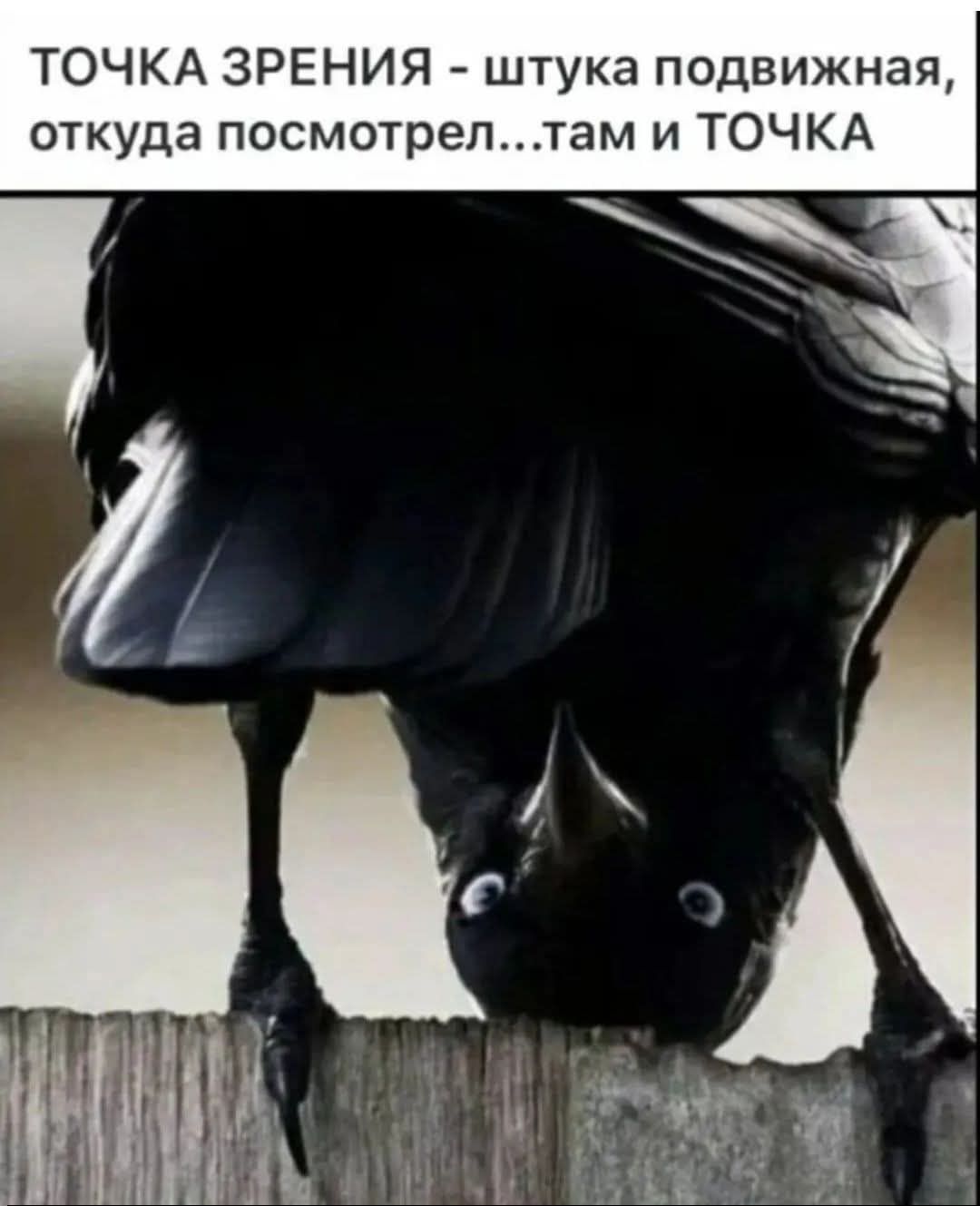 ТОЧКА ЗРЕНИЯ - штука подвижная, откуда посмотрел...там и ТОЧКА