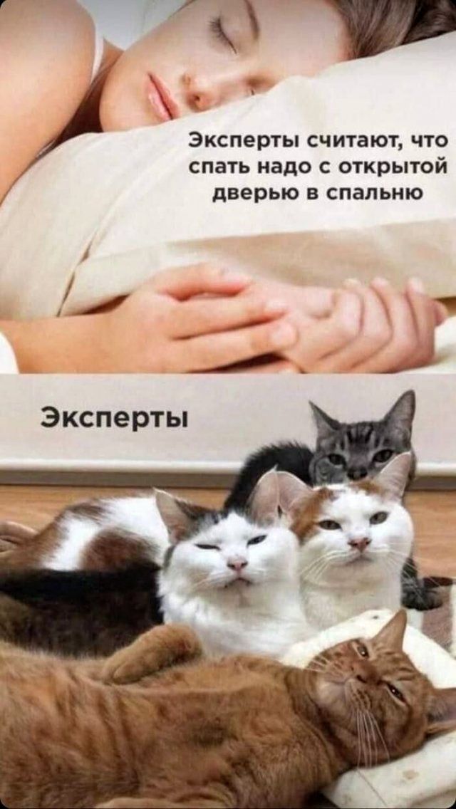 Эксперты считают, что спать надо с открытой дверью в спальню