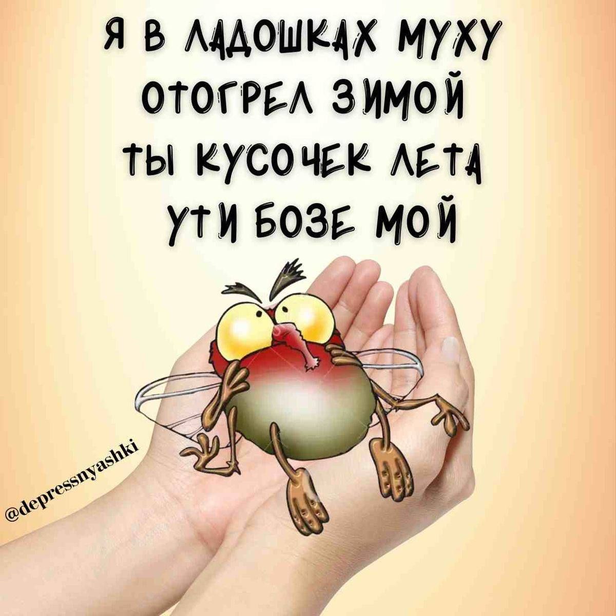 Я в ладошках мухху отогрел зимой ты кусочек лета уйти боже мой