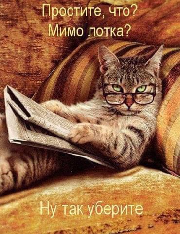 Простите, что? Мимо лотка? Ну так уберите