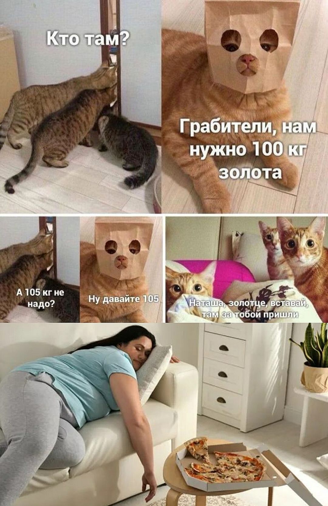 Кто там? Грабители, нам нужно 100 кг золота А 105 кг не надо? Ну давайте 105 Начали золото, вставай, там за тобой пришли