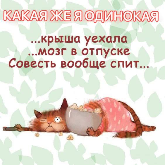 КАКАЯ ЖЕ Я ОДИНОКАЯ
...крыша уехала
...мозг в отпуске
Совесть вообще спит...