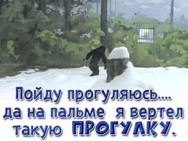 Пойду прогуляюсь... да на пальме я вертел такую ПРОГУЛКУ