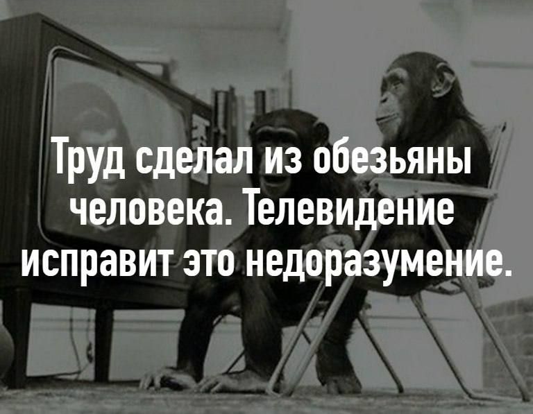 Труд сделал из обезьяны человека. Телевидение исправит это недоразумение.