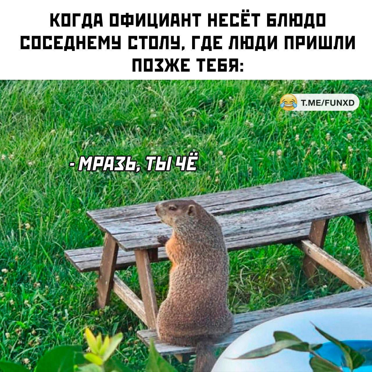 КОГДА ОФИЦИАНТ НЕСЁТ БЛЮДО СОСЕДНЕМУ СТОЛУ, ГДЕ ЛЮДИ ПРИШЛИ ПОЗЖЕ ТЕБЯ:
- МРАЗЬ, ТЫ ЧЁ