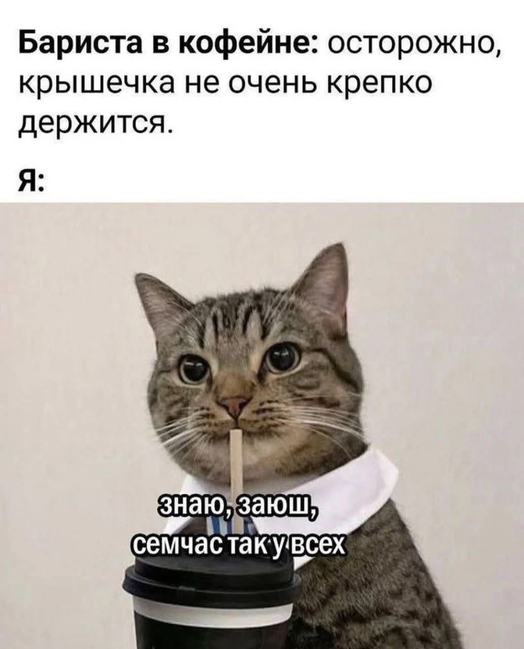 Бариста в кофейне: осторожно, крышечка не очень крепко держится.
Я:
знаю, заюш, семчас так у всех