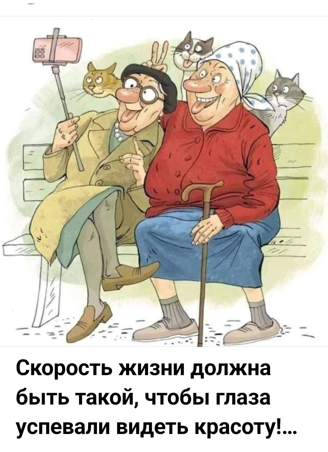 Скорость жизни должна быть такой, чтобы глаза успевали видеть красоту!...