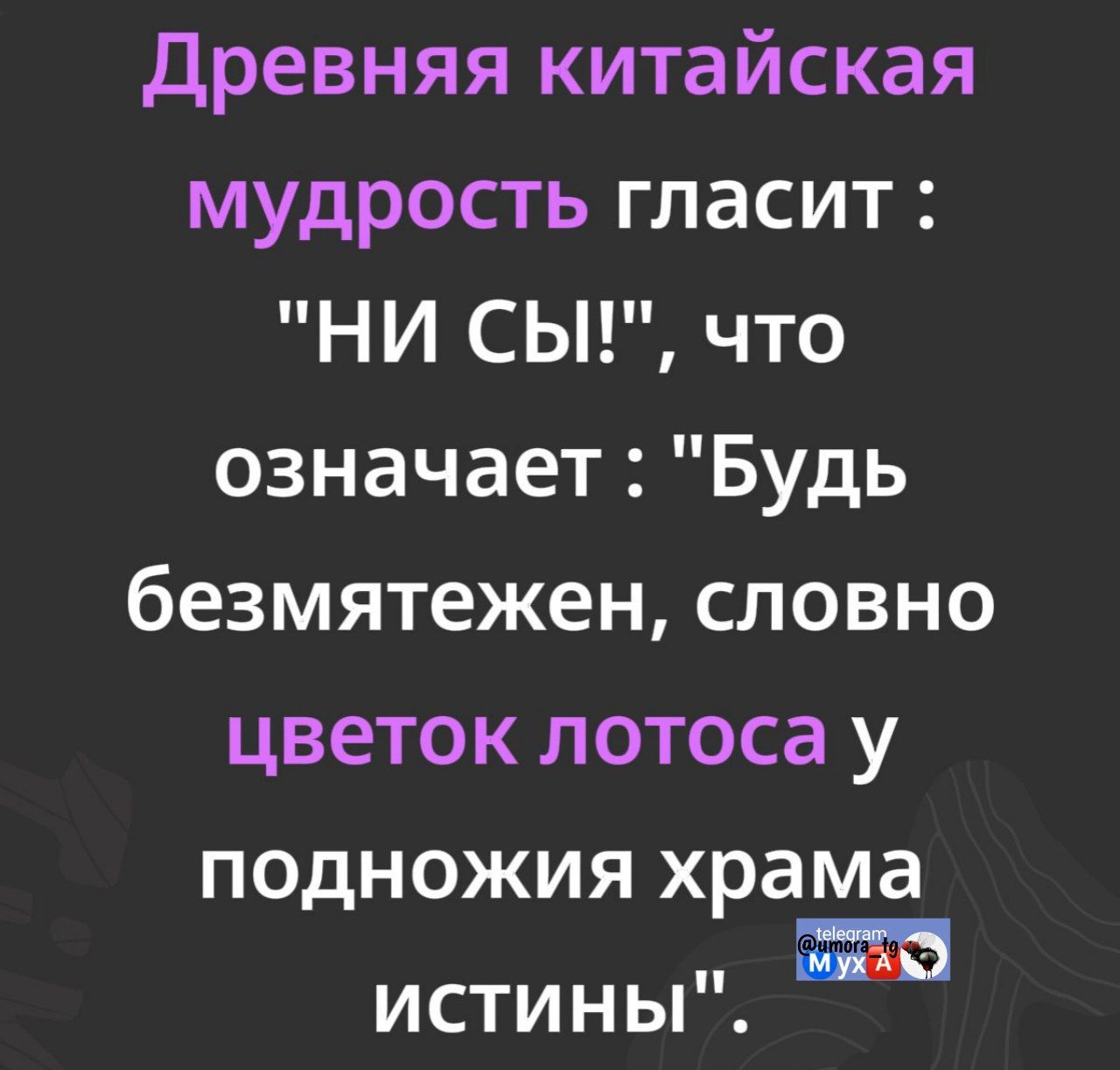Древняя китайская мудрость гласит : 