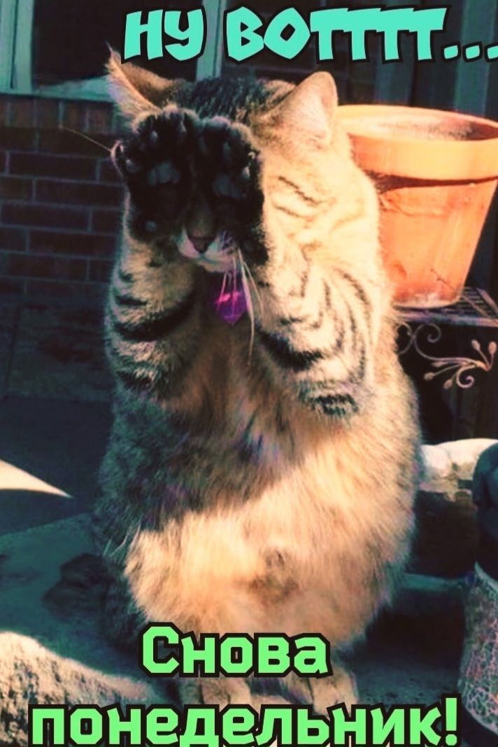 Ну вотт... Снова понедельник!