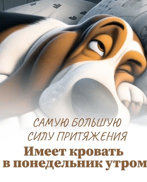 самую большую силу притяжения
имеет кровать
в понедельник утром