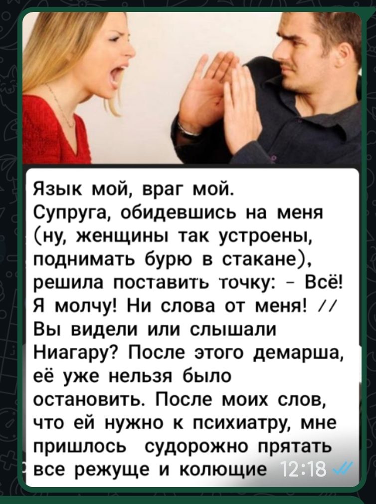 Язык мой, враг мой.\nСупруга, обидевшись на меня\n(ну, женшины так устроены,\nподнимать бурю в стакане),\nрешила поставить точку: – Всё!\nЯ молчу! Ни слов от меня!\nВы видели или слышали\nНиагару? После этого демарша,\nеё уже нельзя было\остановить. После моих слов,\nчто ей нужно к психиатру, мне\nпришлось судорожно прятать\nвсе режущие и колющие