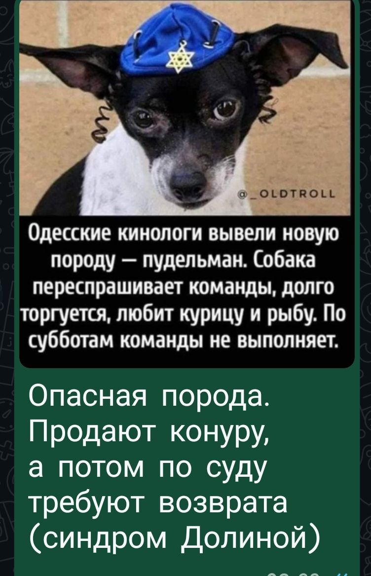 Одесские кинологи вывели новую породу — пудельман. Собака перепасшивает команды, долго торгует, любит курицу и рыбу. По субботам команды не выполняет.\nОпасная порода. Продают конуру, а потом по суду требуют возврата (синдром Долиной)