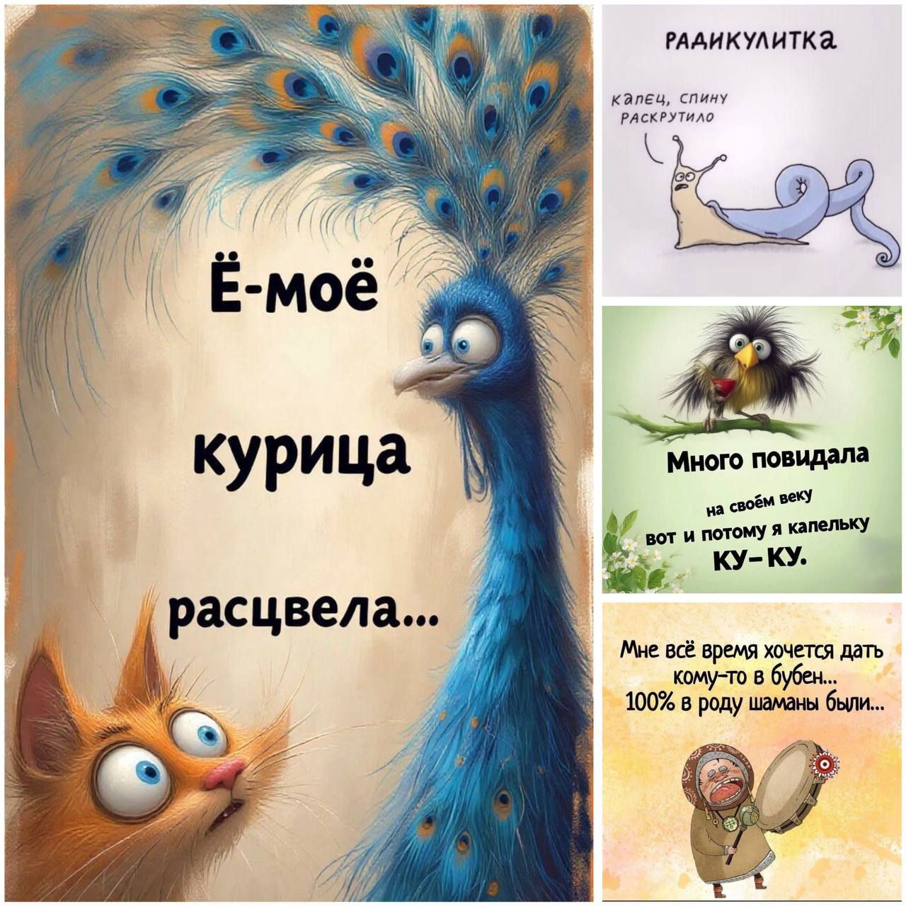 Ё-моё курица расцвела... РАДИКУЛИТКА Много повидала на своём веку вот и потому я капельку КУ-КУ.