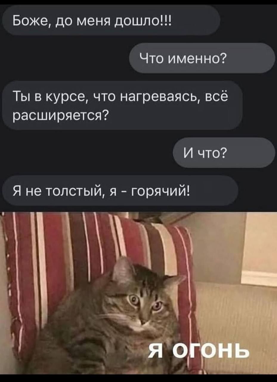 Боже, до меня дошло!!!
Что именно?
Ты в курсе, что нагреваясь, всё расширяется?
И что?
Я не толстый, я - горячий!
я огонь