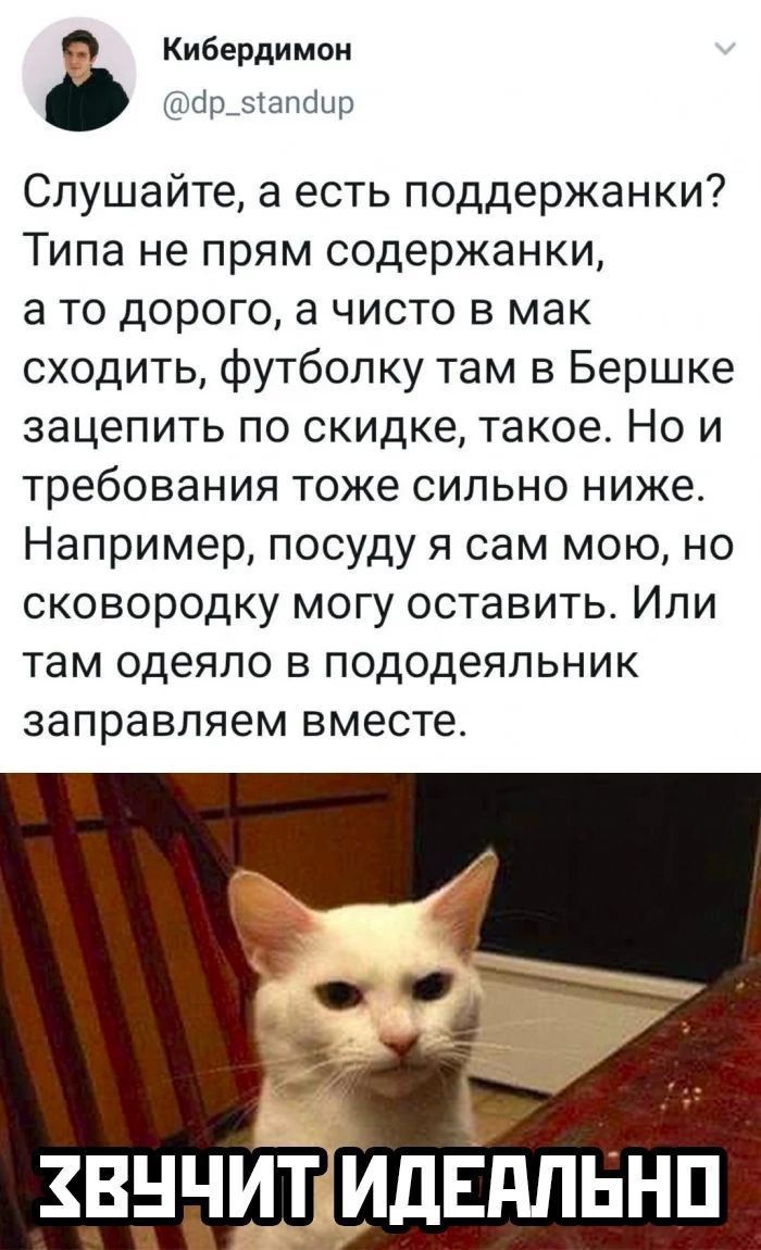 Слушайте, а есть поддрежанки? Типа не прям содержанки, а то дорого, а чисто в мак сходить, футболку там в Бершке зацепить по скидке, такое. Но и требования тоже сильно ниже. Например, посуду я сам мою, но сковородку могу оставить. Или там одеяло в пододеяльник заправляем вместе. 

ЗВУЧИТ ИДЕАЛЬНО