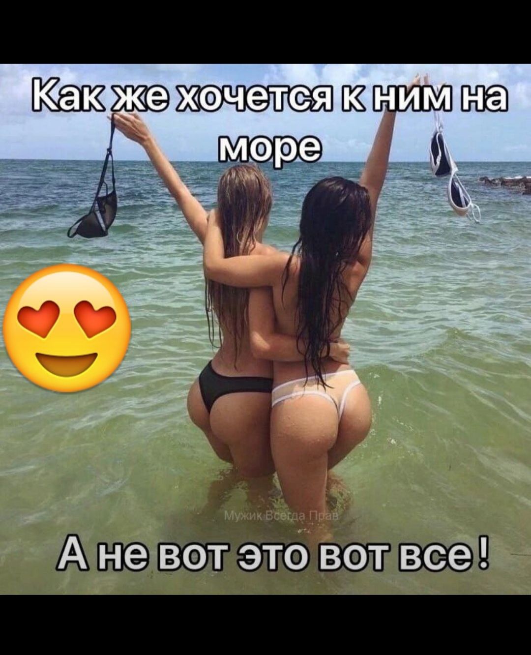Как же хочется к ним на море
А не вот это вот все! 😍