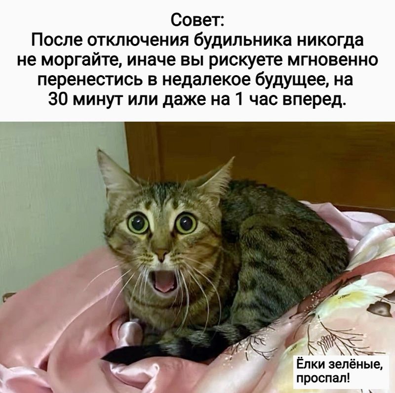 Совет: После отключения будильника никогда не моргайте, иначе вы рискуете мгновенно перенестись в недалекое будущее, на 30 минут или даже на 1 час вперед.
Ёлки зелёные, пропал!