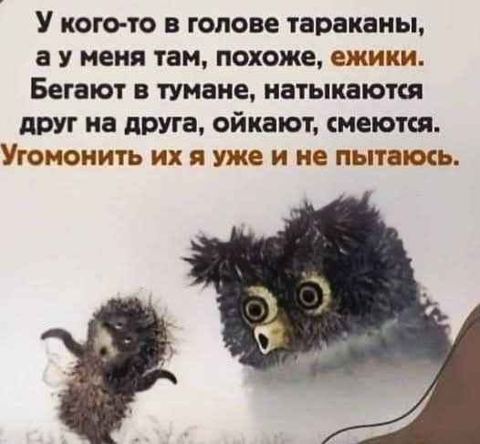 У кого-то в голове тараканы, а у меня там, похоже, ежики. Бегают в тумане, наталкиваются друг на друга, ойкают, смеются. Угомонить их я уже и не пытаюсь.