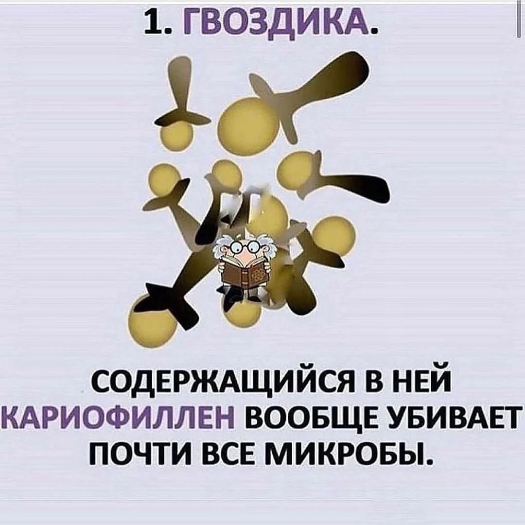 1. ГВОЗДИКА. СОДЕРЖАЩИЙЙСЯ В НЕЙ КАРИОФИЛЛЕН ВООЩЕ УБИВАЕТ ПОЧТИ ВСЕ МИКРОБЫ.
