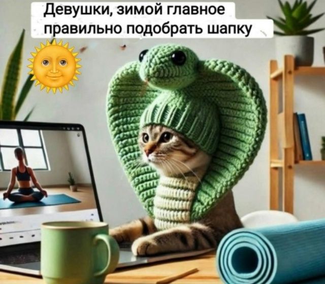 Девушки, зимой главное правильно подобрать шапку