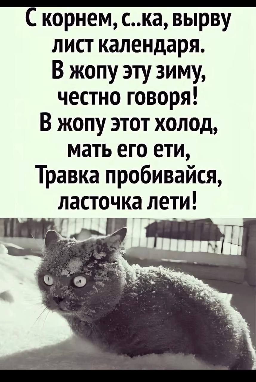 С корнем, сука, вырву лист календаря. В жопу эту зиму, честно говоря! В жопу этот холод, мать его ели, Травка пробивайся, ласточка лети!