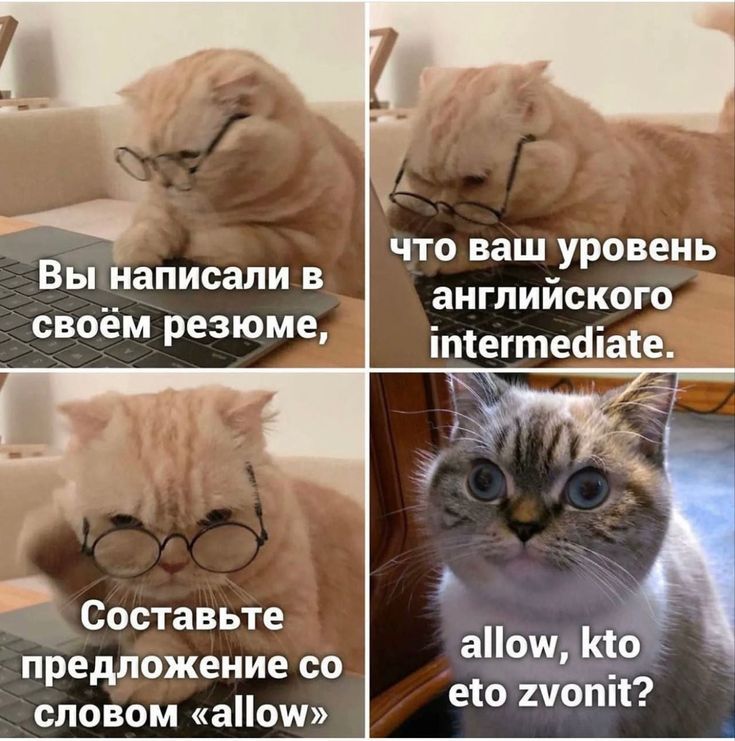 Вы написали в своём резюме,
что ваш уровень английского intermediate.
Составьте предложение со словом «allow»
allow, kto eto zvonit?