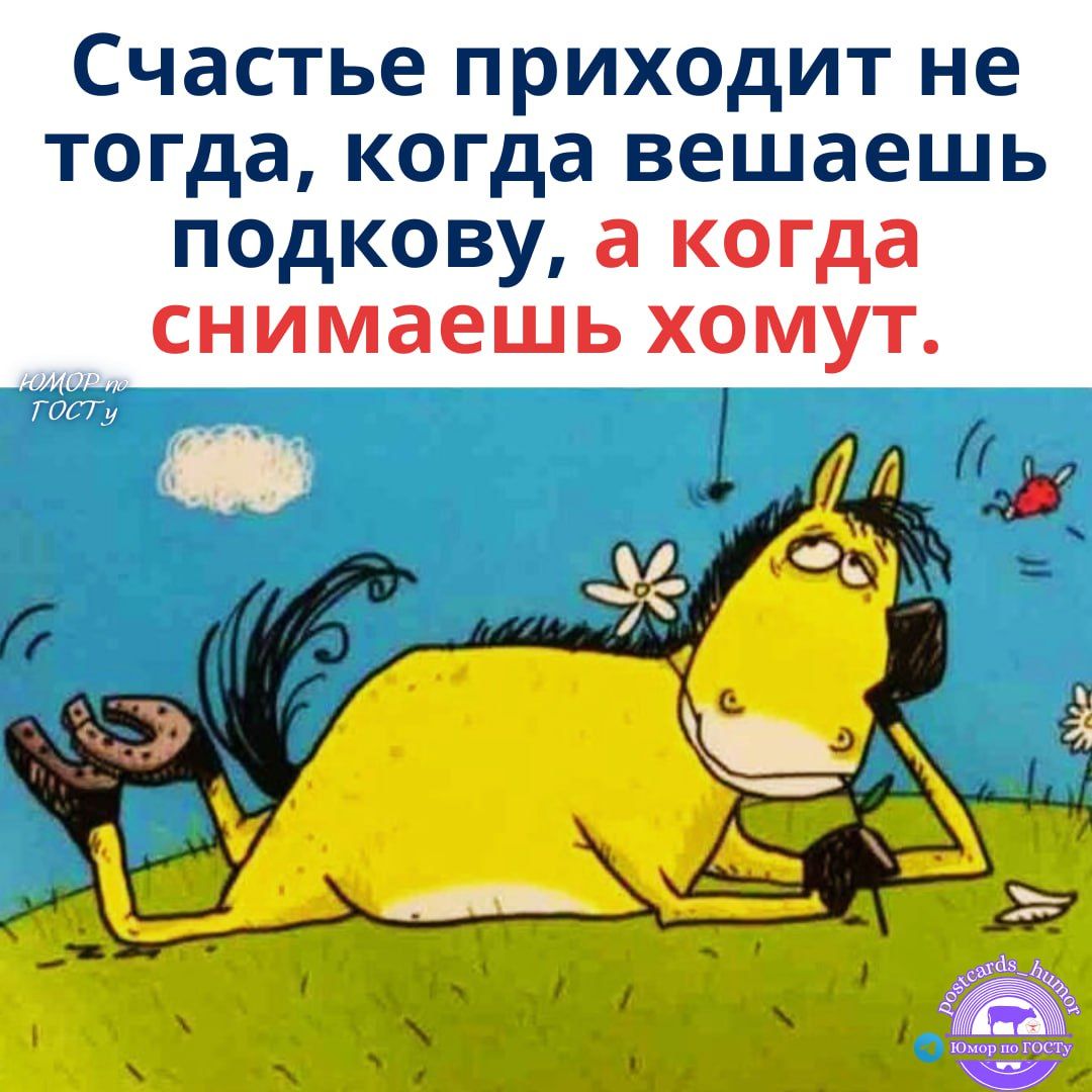 Счастье приходит не тогда, когда вешаешь подкову, а когда снимаешь хомут.