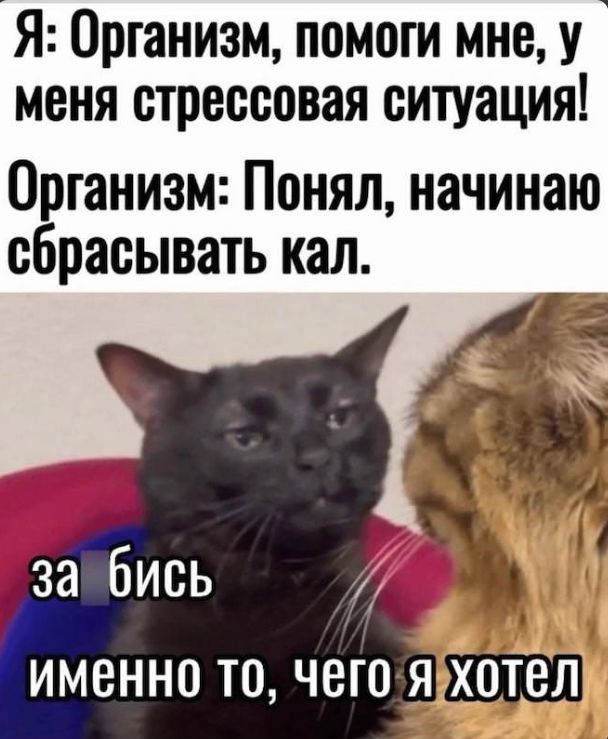 Я: Организм, помоги мне, у меня стрессовая ситуация! Организм: Понял, начинаю сбрасывать кал. за бис именно то, чего я хотел