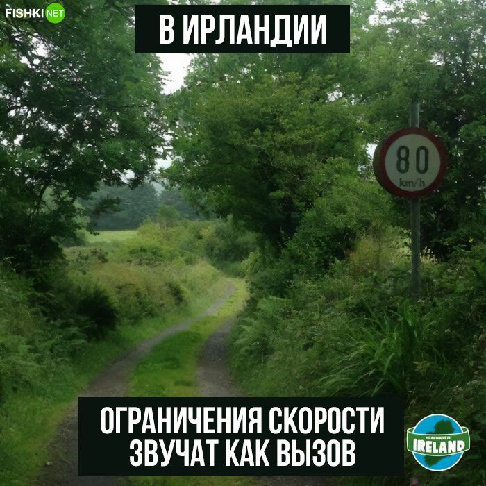 В ИРЛАНДИИ
ОГРАНИЧЕНИЯ СКОРОСТИ ЗВУЧАТ КАК ВЫЗОВ