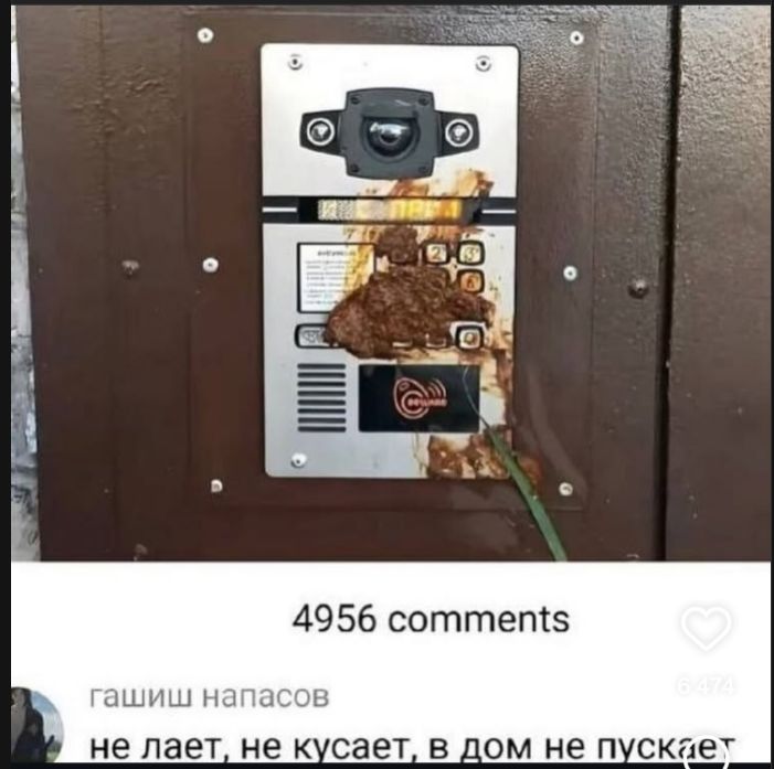 4956 comments\nне лает, не кусает, в дом не пускает