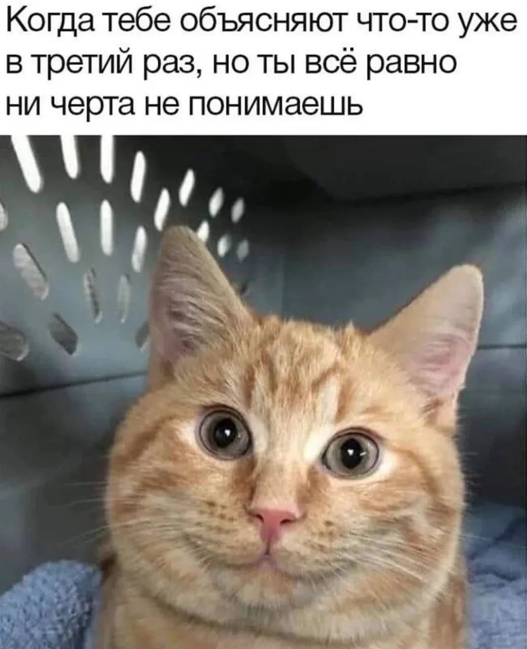 Когда тебе объясняют что-то уже в третий раз, но ты всё равно ни черта не понимаешь