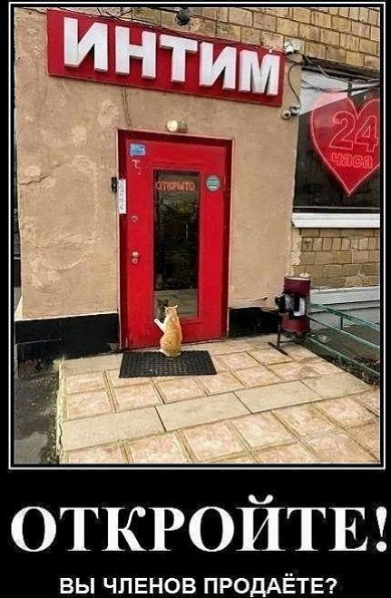 ИНТИМ

ОТКРОЙТЕ!
ВЫ ЧЛЕНОВ ПРОДАЁТЕ?