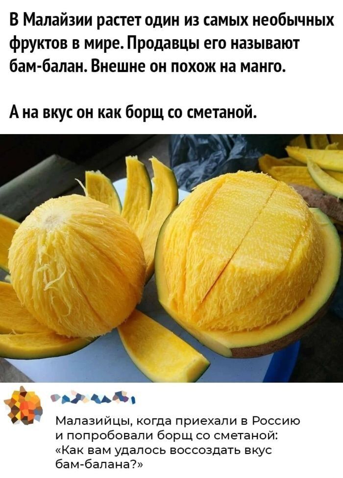 В Малайзии растет один из самых необычных фруктов в мире. Продавцы его называют bam-балан. Внешне он похож на манго.

А на вкус он как борщ со сметаной.

Малазийцы, когда приехали в Россию и попробовали борщ со сметаной: «Как вам удалось воссоздать вкус bam-балана?»