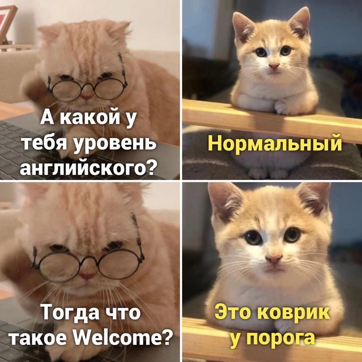А какой у тебя уровень английского?
Тогда что такое Welcome?
Нормальный
Это коврик у порога