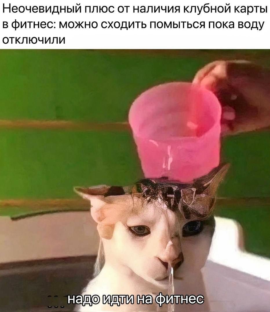Неочевидный плюс от наличия клубной карты в фитнесе: можно сходить помыться пока воду отключили
- надo идти на фитнес