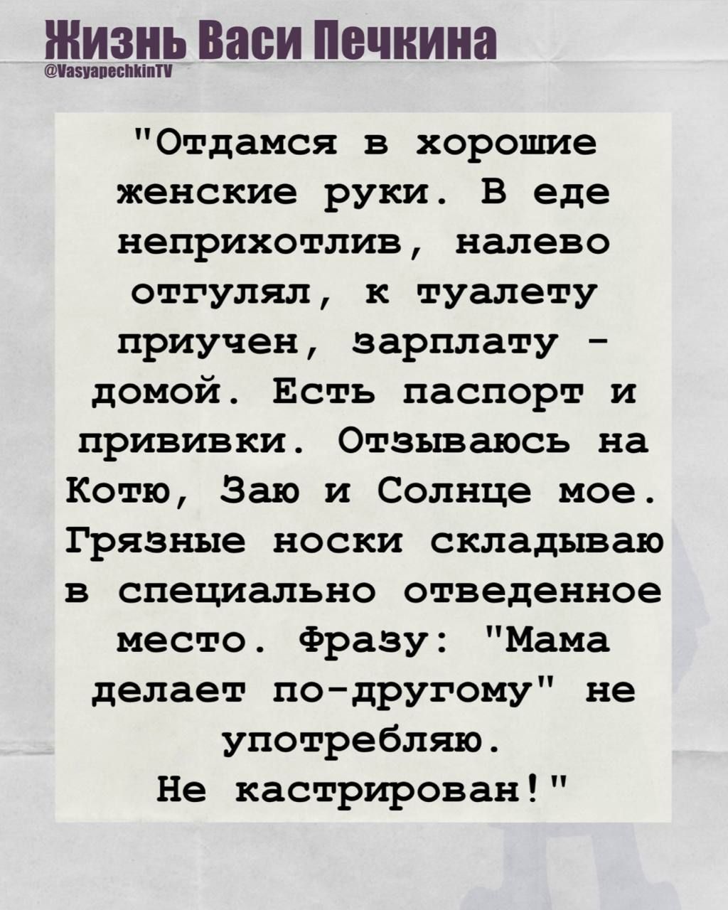 Жизнь Васи Печкина
Отдамся в хорошие женские руки. В еде неприхотлив, налево отгулял, к туалету приучен, зарплату - домой. Есть паспорт и прививки. Отзываюсь на Котю, Заю и Солнце мое. Грязные носки складываю в специально отведенное место. фразу: 