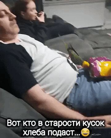 Вот кто в старости кусок хлеба подаст... 😂
