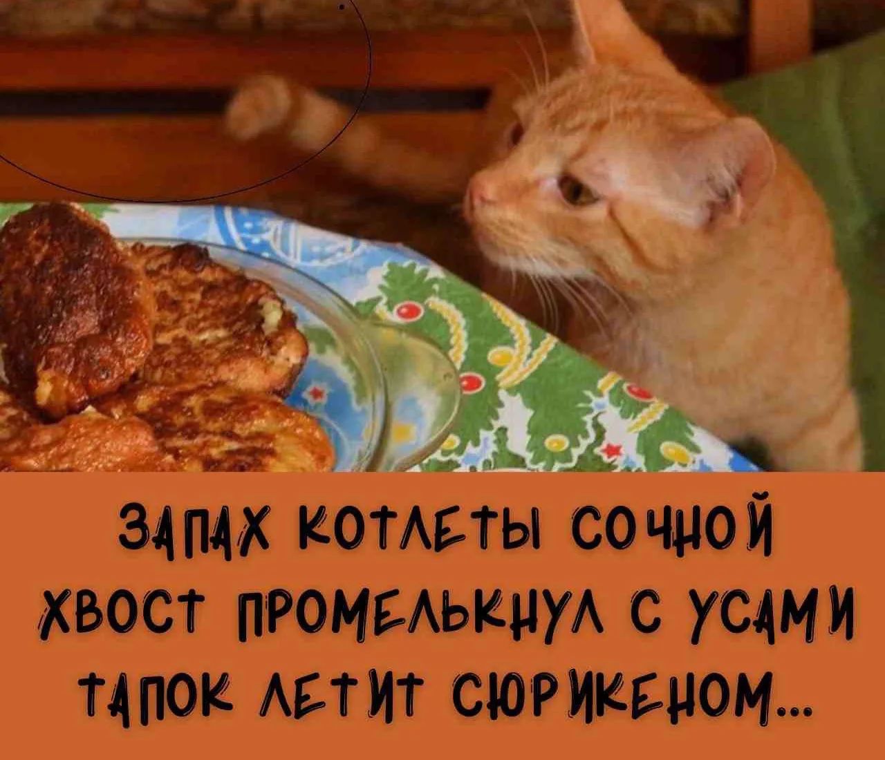 ЗАПАХ КОТЛЕТЫ СОЧНОЙ ХВОСТ ПРОМЕЛКНУЛ С УСАМИ ТАПОК ЛЕТИТ СЮРЙКЕНОМ...