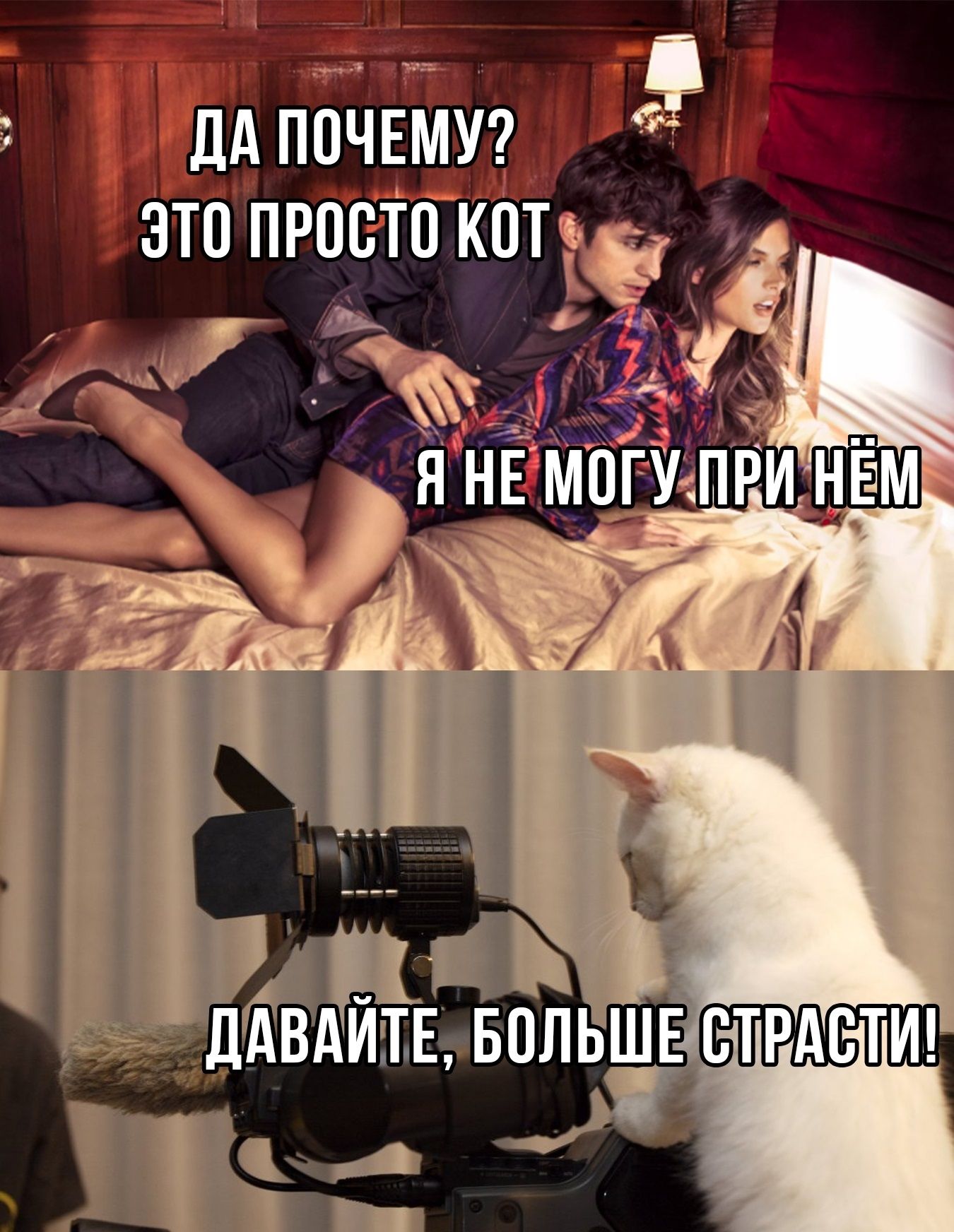 ДА ПОЧЕМУ? ЭТО ПРОСТО КОТ
Я НЕ МОГУ ПРИ НЁМ
ДАВАЙТЕ, БОЛЬШЕ СТРАСТИ!