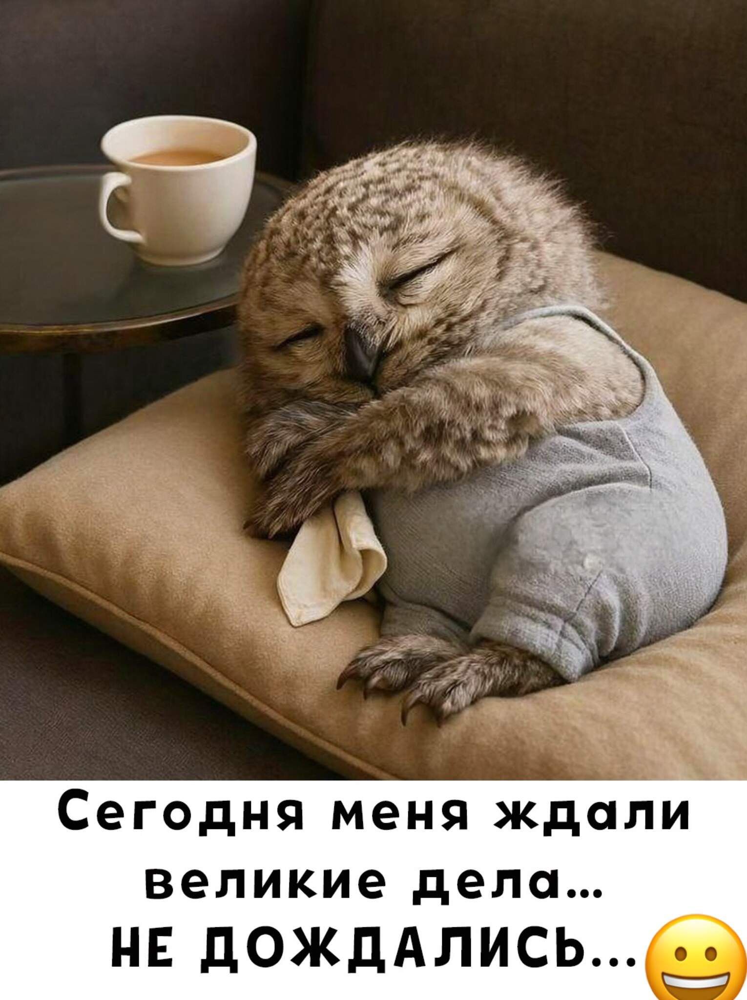 Сегодня меня ждали великие дела... НЕ ДОЖДАЛИСЬ...