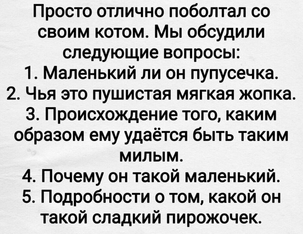 Просто отлично поболтал со своим котом. Мы обсудили следующие вопросы:
1. Маленький ли он пупусечка.
2. Чья это пушистая мягкая жопка.
3. Происхождение того, каким образом ему удаётся быть таким милым.
4. Почему он такой маленький.
5. Подробности о том, какой он такой сладкий пирожочек.