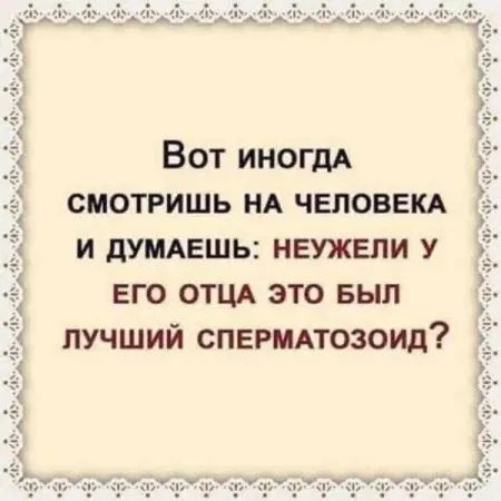 Вот иногда смотришь на человека и думаешь: неужели у его отца это был лучший сперматозоид?