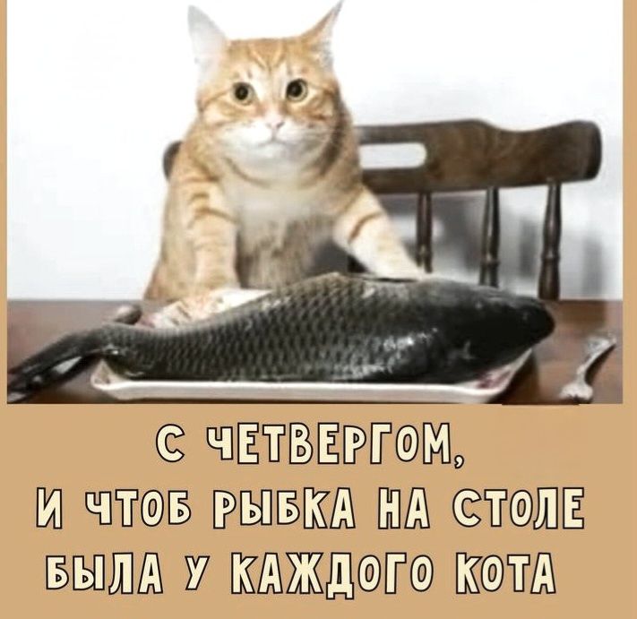 С ЧЕТВЕРГОМ, И ЧТОБ РЫБКА НА СТОЛЕ БЫЛА У КАЖДОГО КОТА