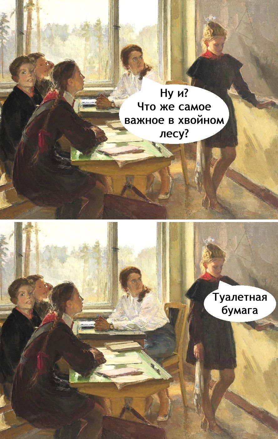 Ну и? Что же самое важное в хвойном лесу?
Туалетная бумага