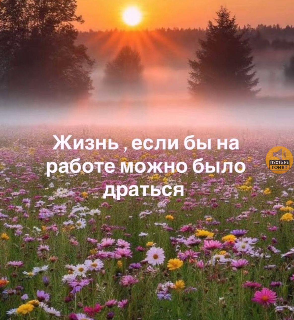 Жизнь, если бы на работе можно было драться