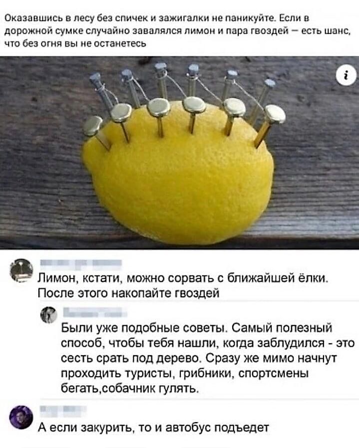 Оказавшись в лесу без спичек и зажигалки не паникуйте. Если в дорожной сумке случайно завялся лимон и пара гвоздей — есть шанс, что без огня вы не останетесь.

Лимон, кстати, можно сорвать с ближайшей ёлки. После этого накопайте гвоздей.

Были уже подобные советы. Самый полезный способ, чтобы тебя нашли, когда заблудился — это сесть срать под дерев