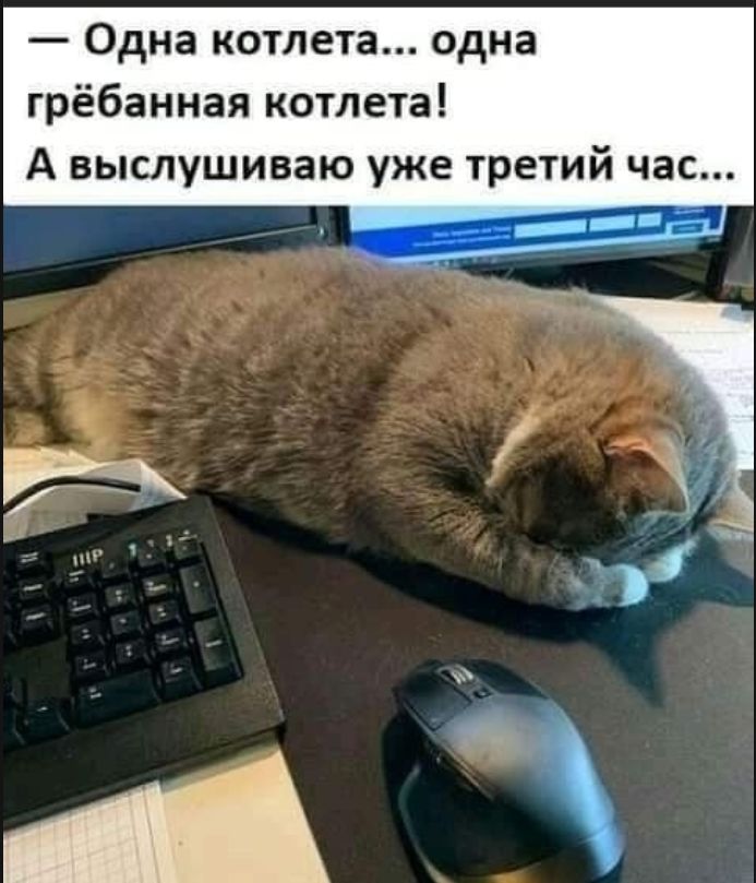 — Одна котлета... одна грёбанная котлета! А выслушиваю уже третий час...